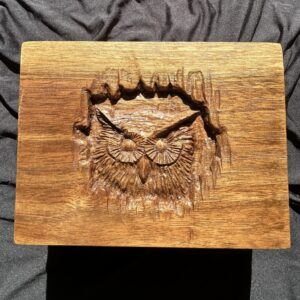 Hand-carved hardwood box featuring an owl.