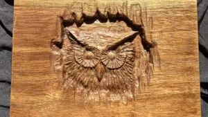 Hand-carved hardwood box featuring an owl.