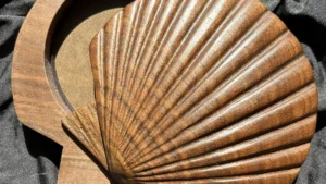 Opened hand-carved scallop box (walnut)
