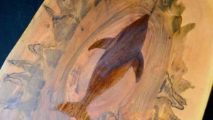 Sharkuterie Board - Shark from Above
