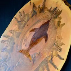 Sharkuterie Board - Shark from Above
