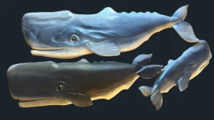 Handcrafted Whale Sculptures