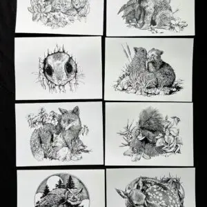 Set of 8 unique blank greeting cards featuring Gary Cota’s original pen and ink wildlife drawings.