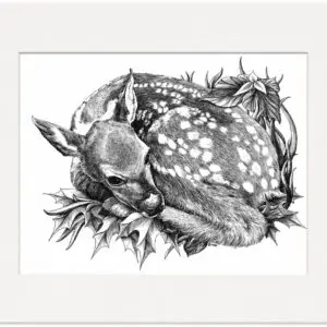 Signed pen and ink print of a sleeping spotted fawn resting among leaves and flowers.