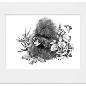 Signed pen and ink print of a porcupine eating a leaf among plants.