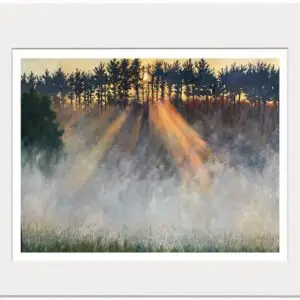 Signed print of an oil painting depicting golden sunlight filtering through trees and fog in a mountain valley.
